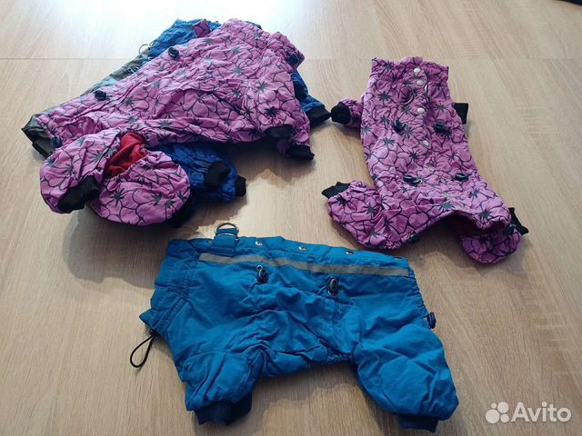 Одежда для маленьких собак