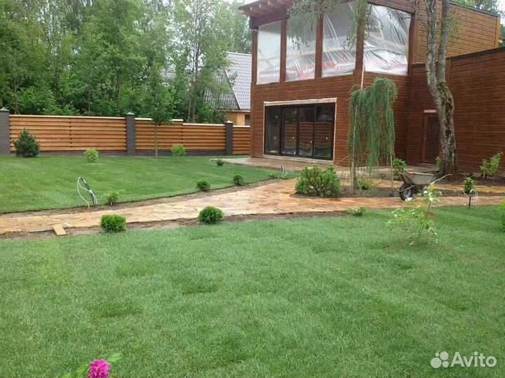 Рулонный газон, укладка, продажа