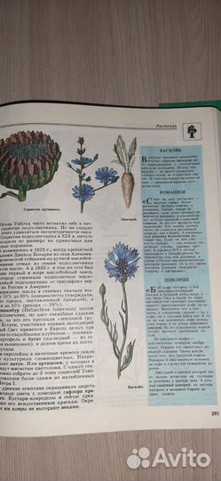 Энциклопедия по биологии