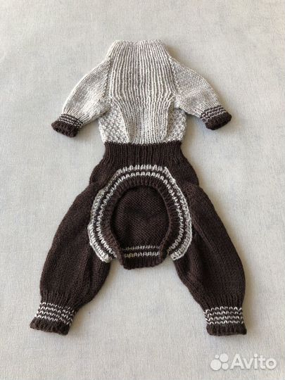 Одежда для домашних животных