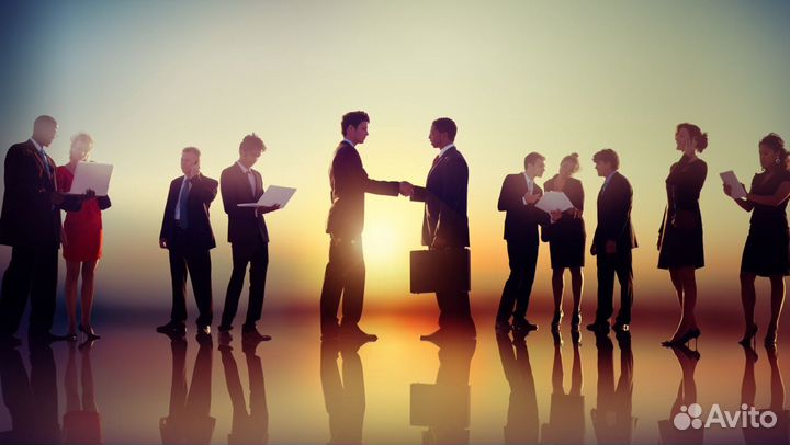 Директолог, контекстная реклама. Яндекс Директ