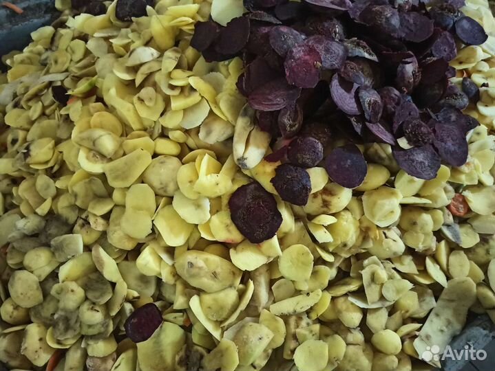 Картофель на корм скоту