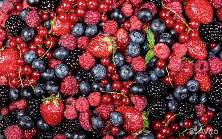 Упаковщики+Еженедельный аванс/Без опыта