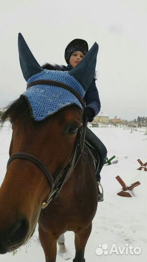 Амуниция для лошадей ручной работы