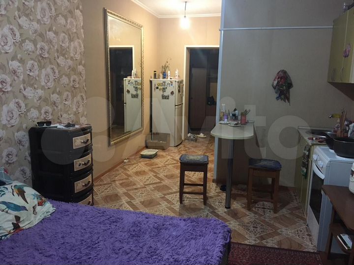 Квартира-студия, 24,9 м², 5/7 эт.