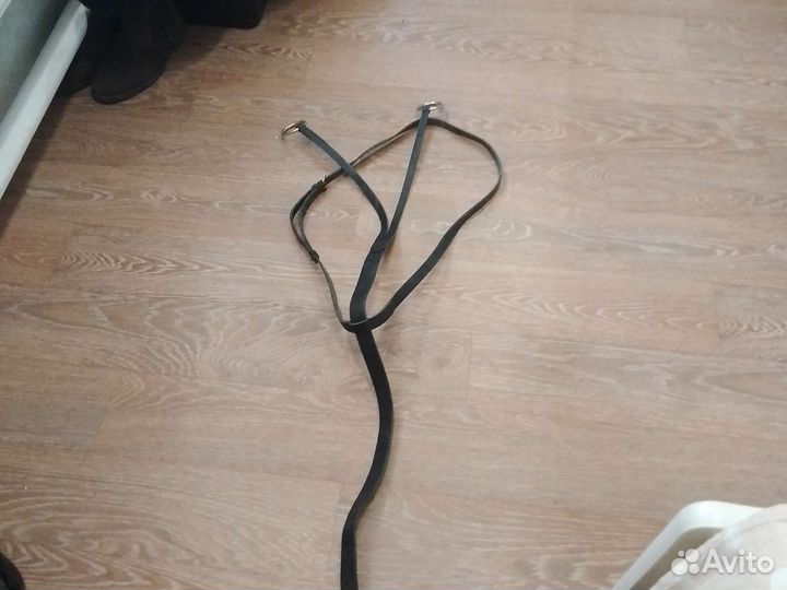 Мартингал для лошади