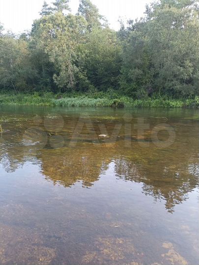 Участок 60 сот. (ИЖС)