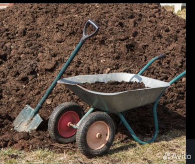 Куриный помет