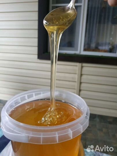 Липовый мед