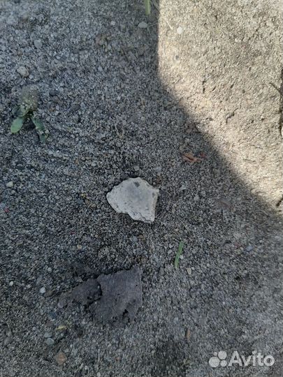 Тренер по бравл старс