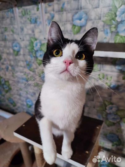 Подросток Милагрос в поисках дома