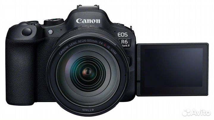 Canon EOS R 6 II body