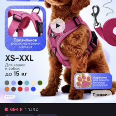 Шлейка для собак