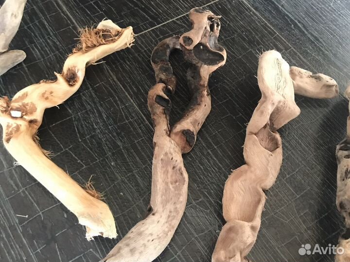 Дрифтвуд с моря