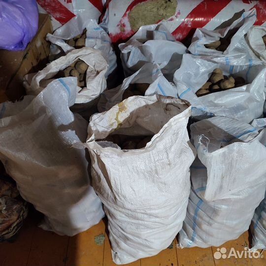 Продам картошку и свёклу