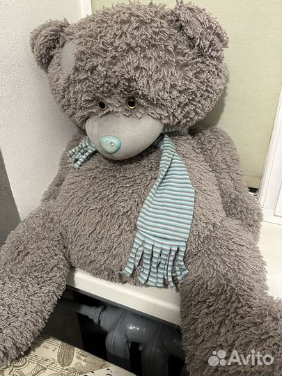 Плюшевый мишка тедди