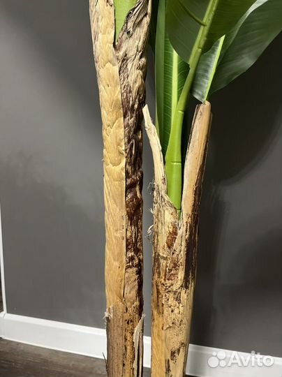 Искусственное дерево банановая пальма