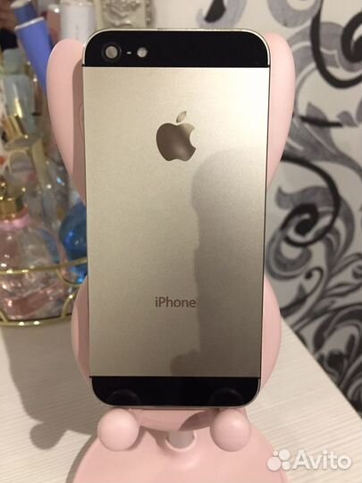 Корпуса iPhone 5s/5