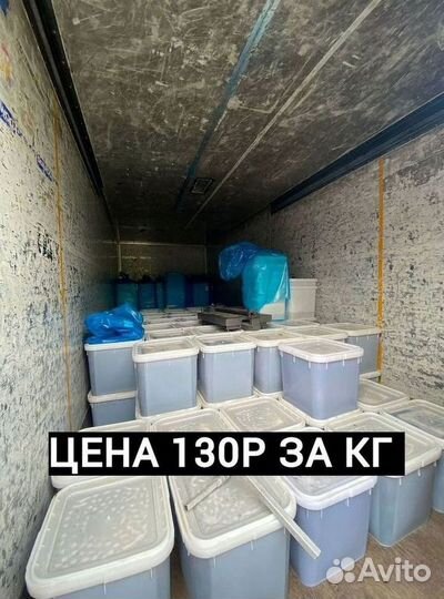 Мед оптом с Алтая от 0.5 Тонн