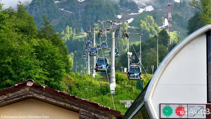 Гранд-тур по курортам Красной Поляны