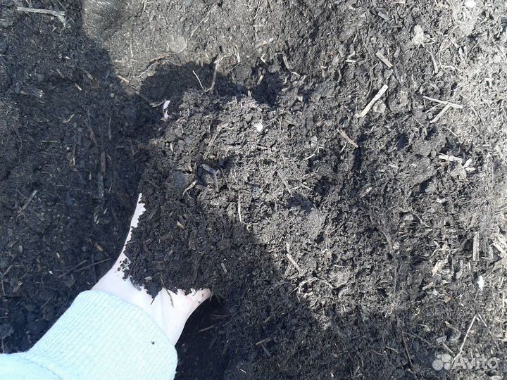 Перегной. Чернозём. Грунт