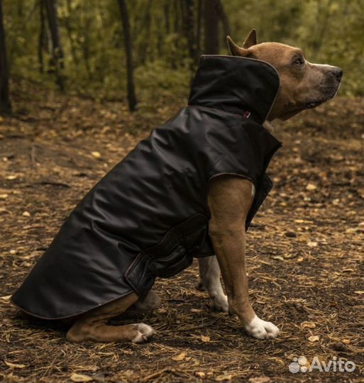 Попона для собак 35, 40 и 60 см новые