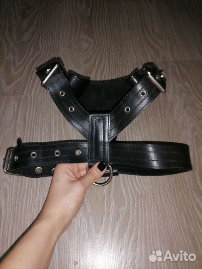 Шлейка для собаки