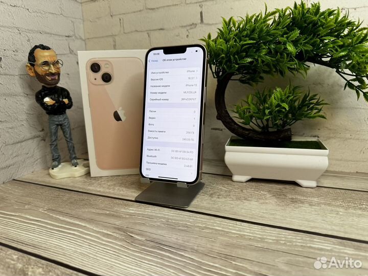iPhone 13, 256 ГБ