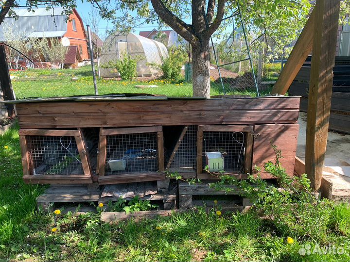 Клетка для кроликов с маточником