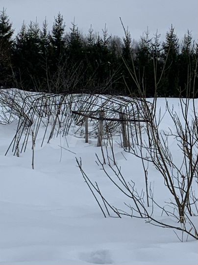 Участок 10 сот. (СНТ, ДНП)