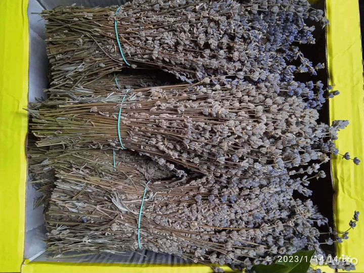 Дары полей,лесов,садов