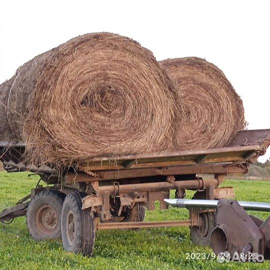 Сено рулоны 500 кг