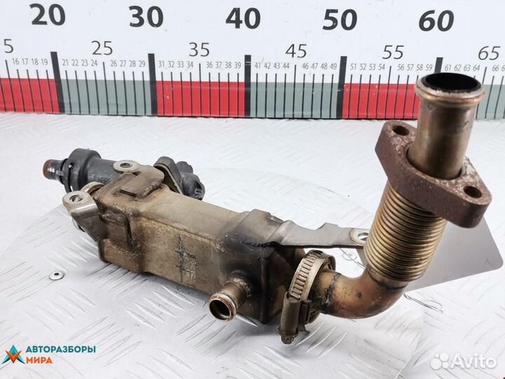 Охладитель EGR / Радиатор EGR Land Rover 3