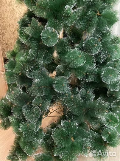 Сосна искусственная