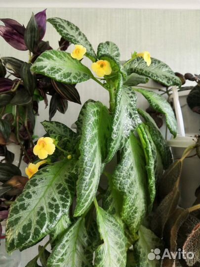 Эписции список обновлён 01.04.23