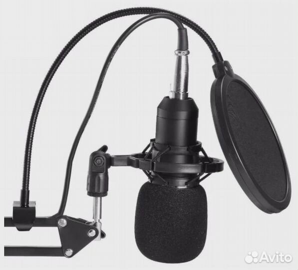 Микрофон BM 800 со звуковой картой V8/ новый