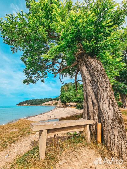 Экскурсия Пляжная Абхазия