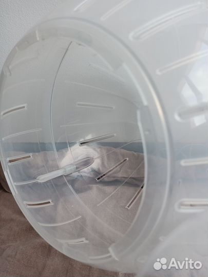 Товары для грызунов