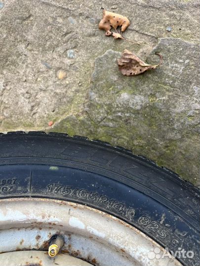 Bridgestone Blizzak DM-V2 175/65 R14 175