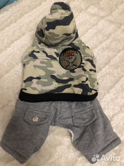 Одежда для собак мини/ стандарт