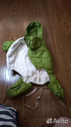 Одежда для средних собак