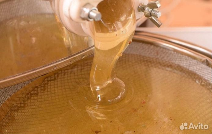 Мёд натуральный алтайский опт от 16 кг