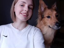 Общий язык прикол. Тест на дружбу. Как найти общий язык с мужем. Найти общий язык. Весёлые фразы со смыслом.