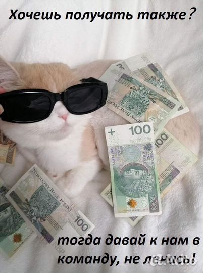 Подработка от 14, Без опыта Промоутер