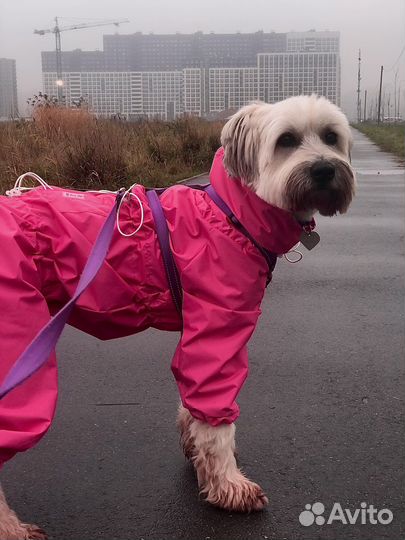 Комбинезон, дождевик, одежда для собак
