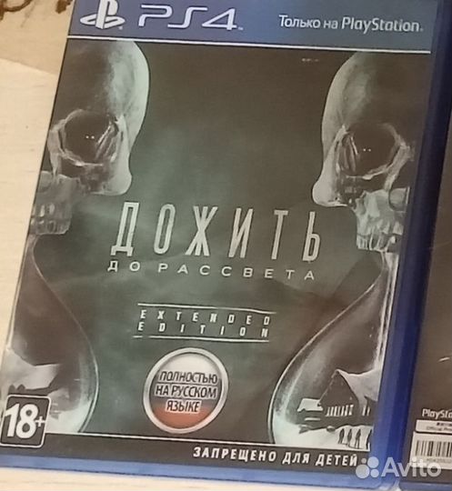 Дожить до рассвета