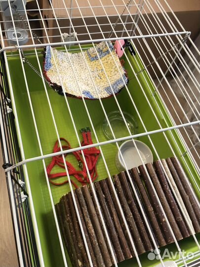 Клетка для грызунов, хомяков, свинок и корм