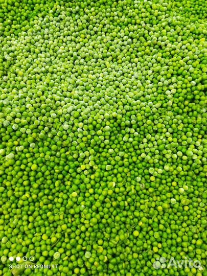 Отходы для с/х животных и птиц