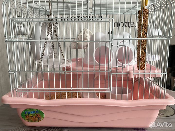 Хомяк с клеткой