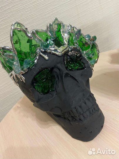 Форма черепа